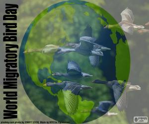 пазл Всемирный день мигрирующих птиц
